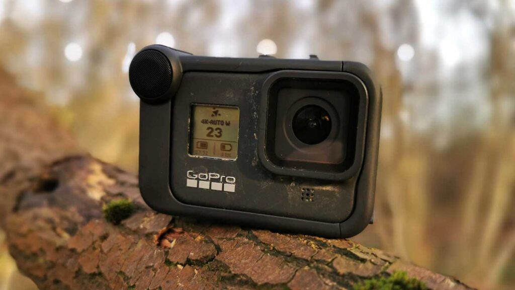 GoPro Media Mod Review