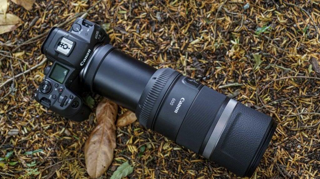 Best lenses for wildlife photography Camera Jabber