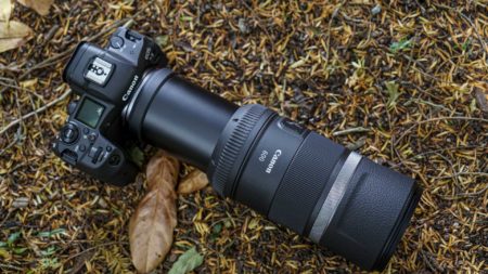 Canon RF 600mm F11, RF 800mm F11, IS STM lenses announced