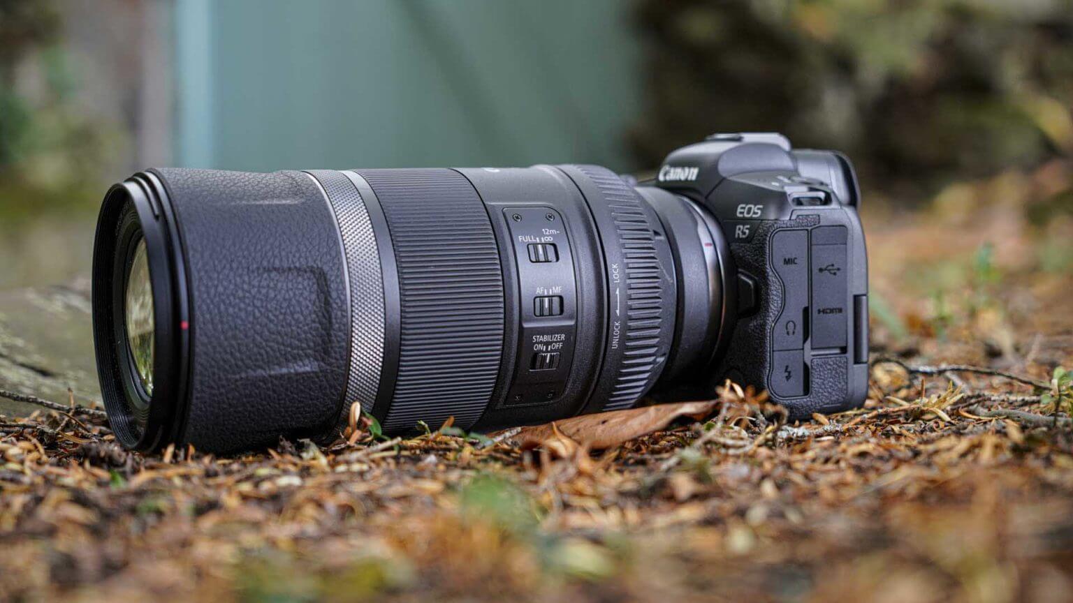 Best lenses for wildlife photography Camera Jabber