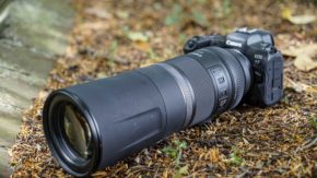 Canon RF 800mm f11 IS STM review