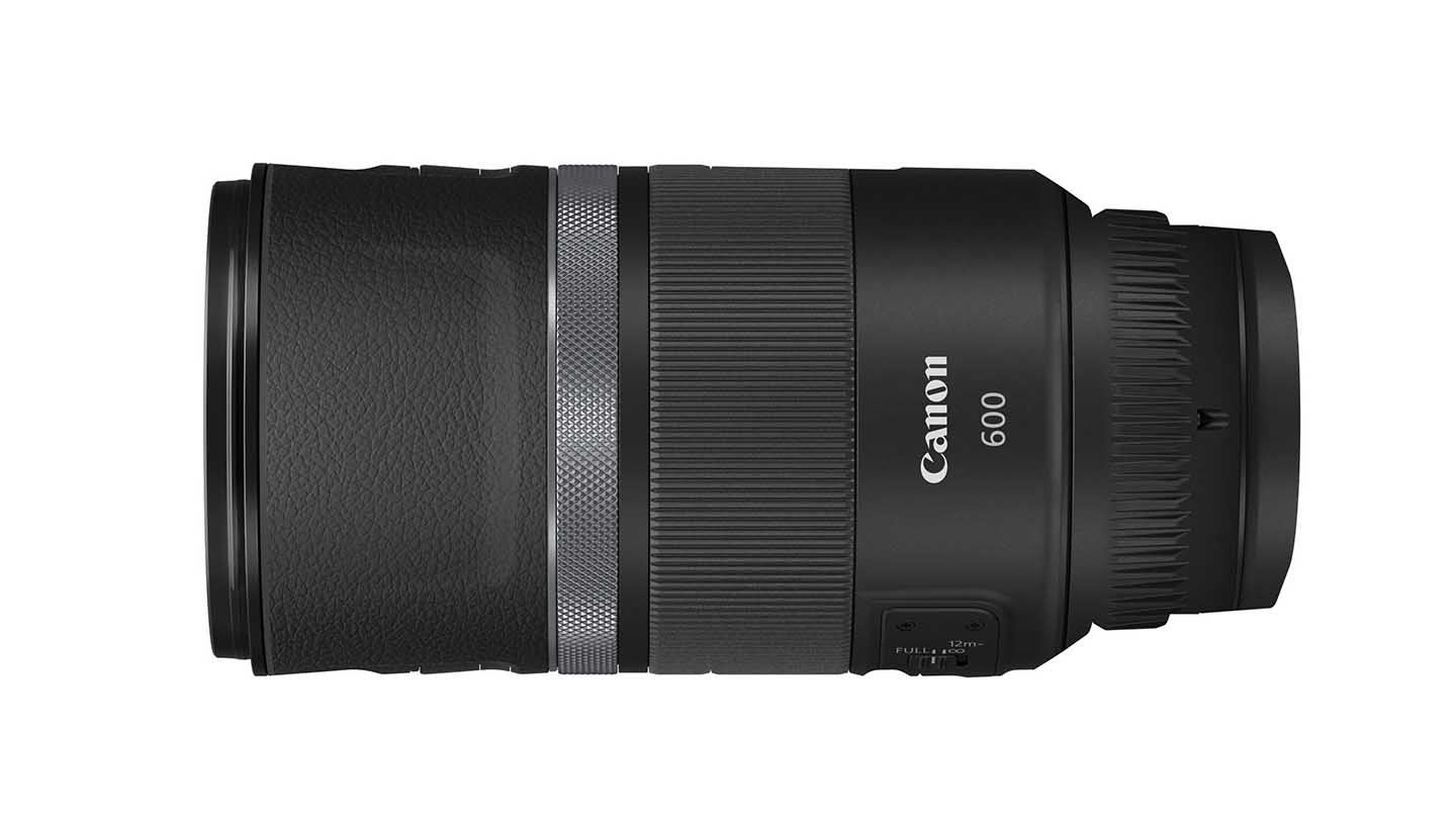 Best lenses for wildlife photography Camera Jabber