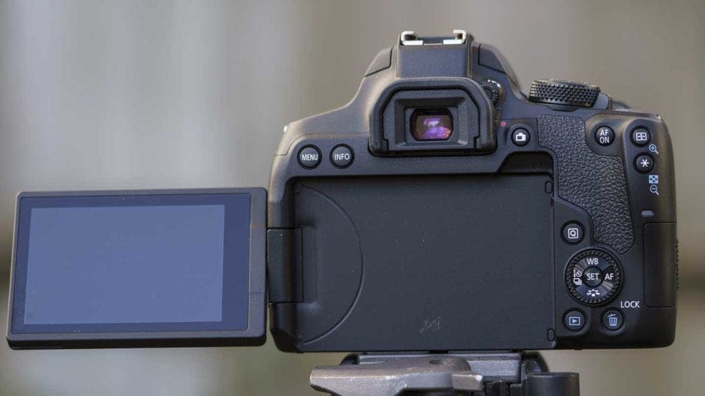 whether throne reward Canon EOS Rebel T8i / EOS 850D - Camera Jabber