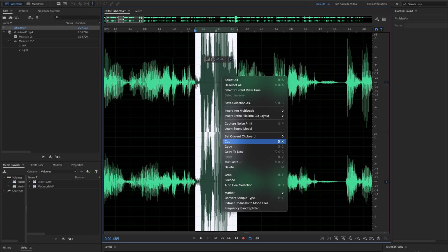 IZOTOPE - RX 10 Audio Editor. Программа для обработки голоса. Запись звука в Adobe Audition. Нормализация звука. Нормализовать звук