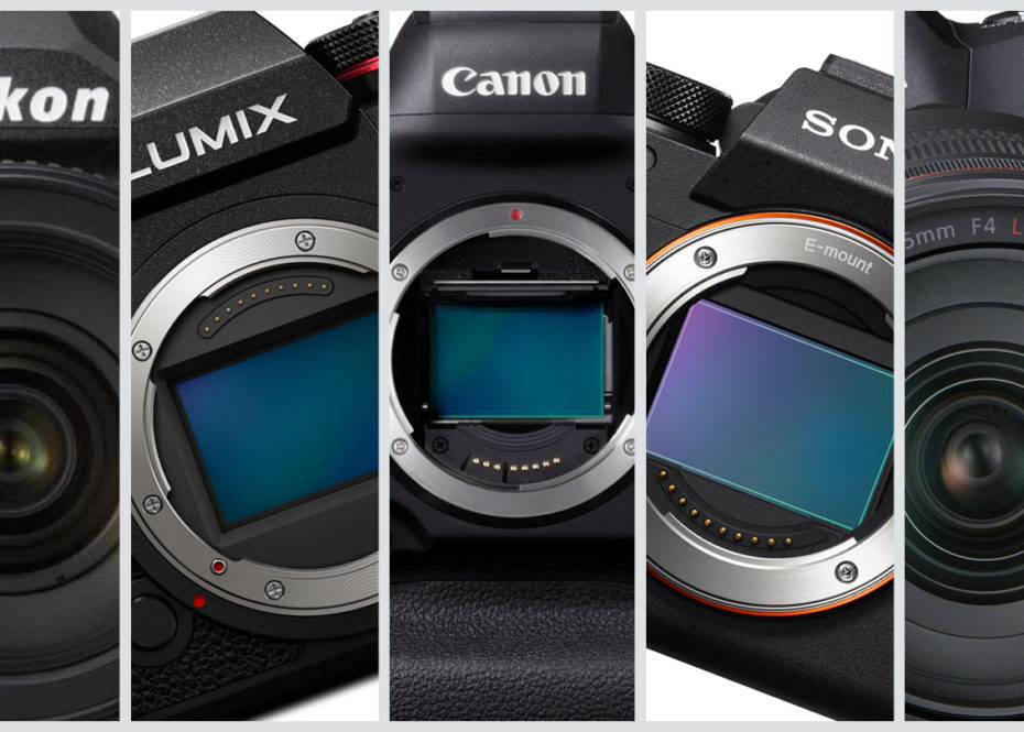 Best full-frame cameras