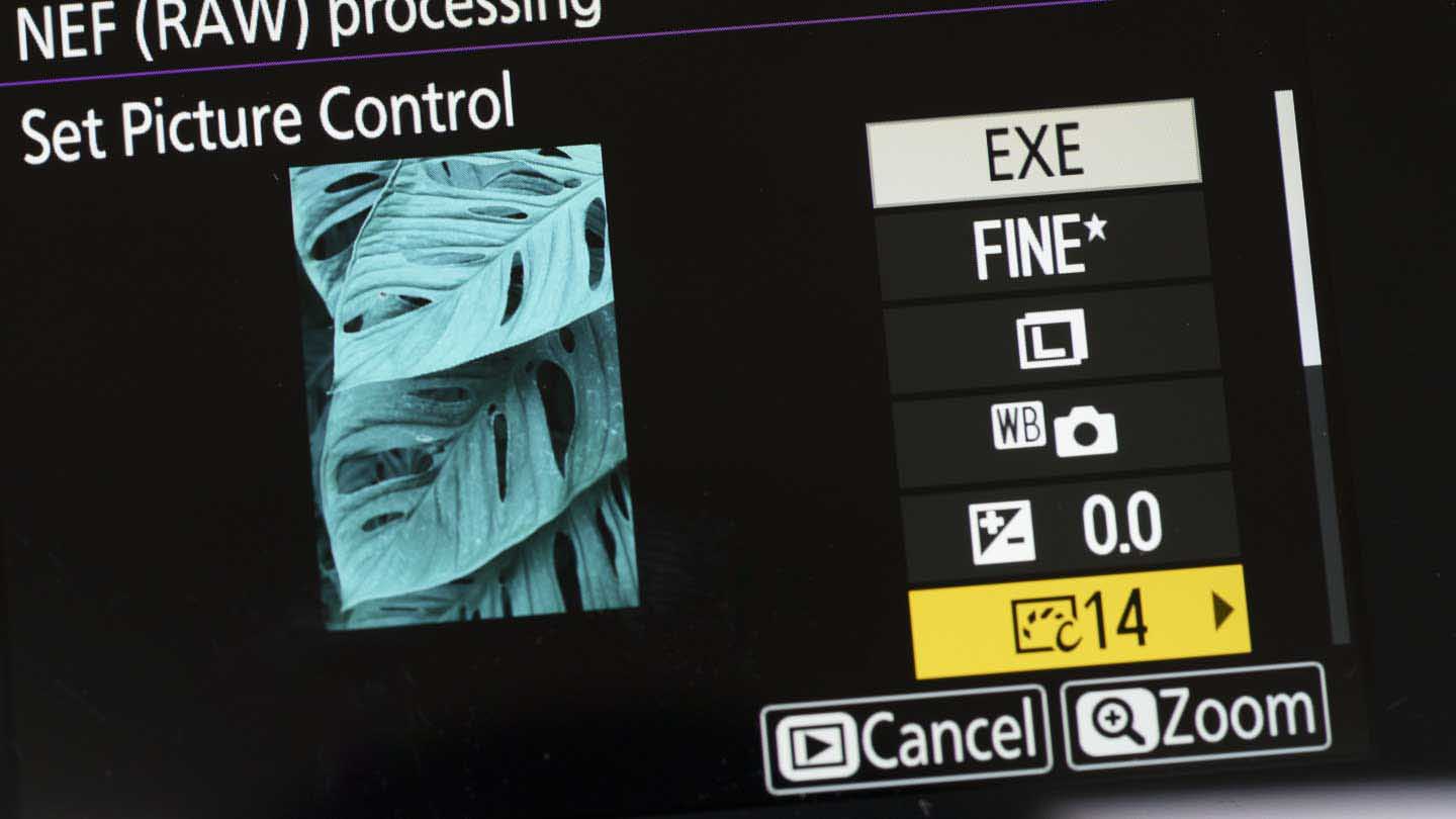 How to use Nikon Picture Controls