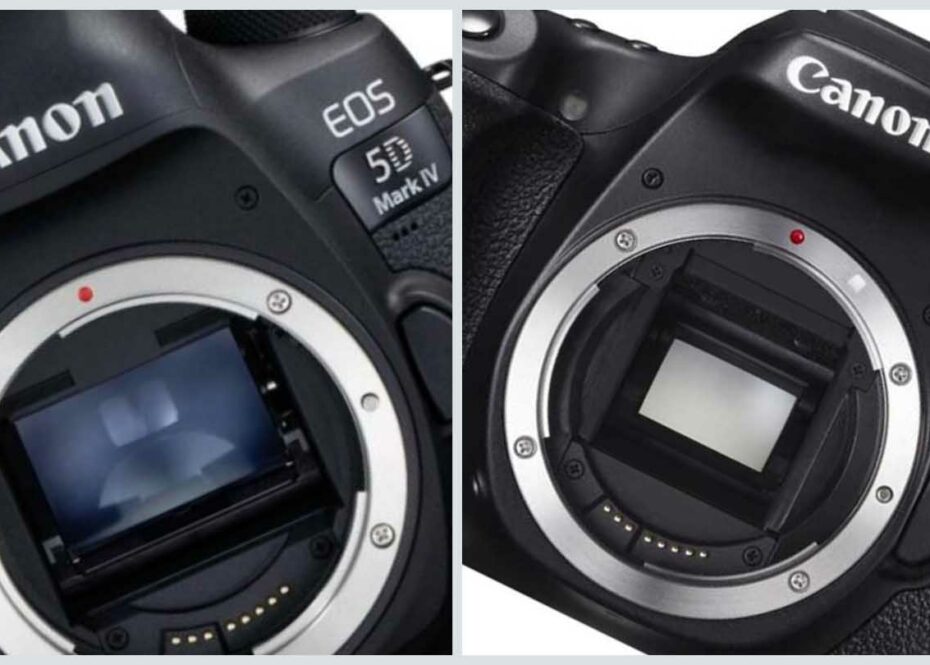 Canon EOS 5D Mark IV vs EOS 70D