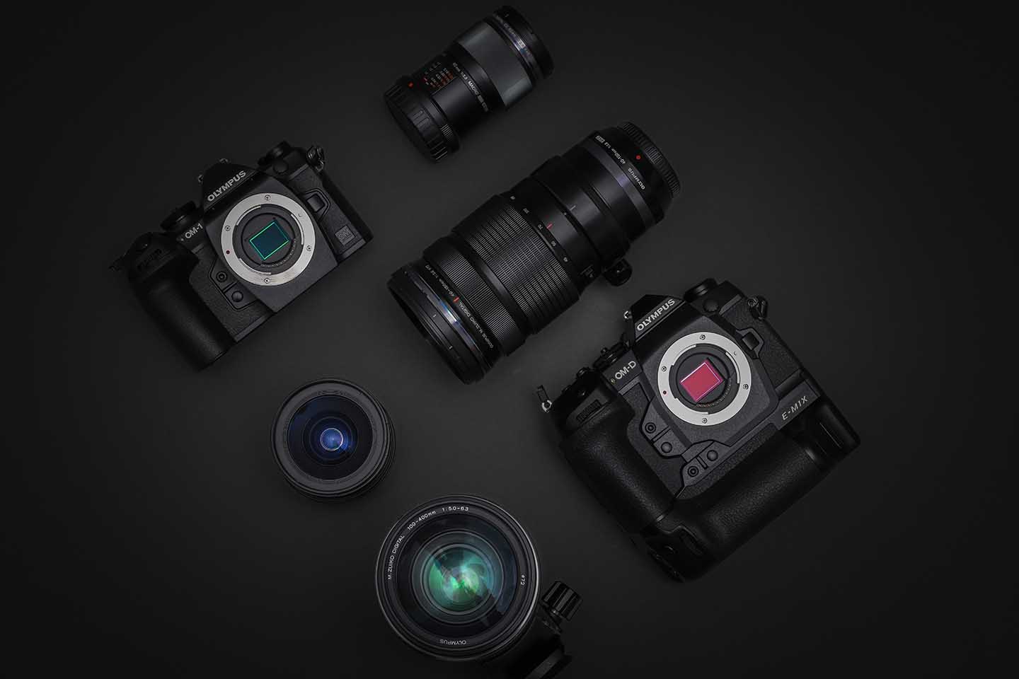 Inside A Professional Photographer's Kit Bag Tesni Ward, Wildlife Photography Camera Jabber