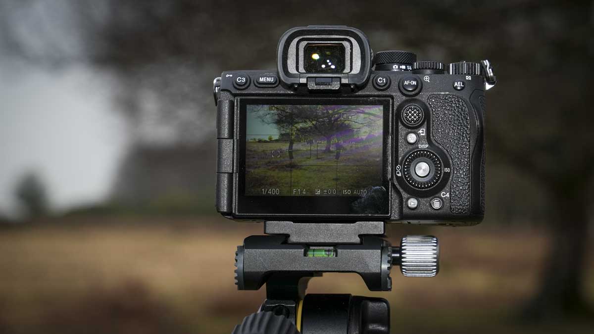 Sony A7R V review
