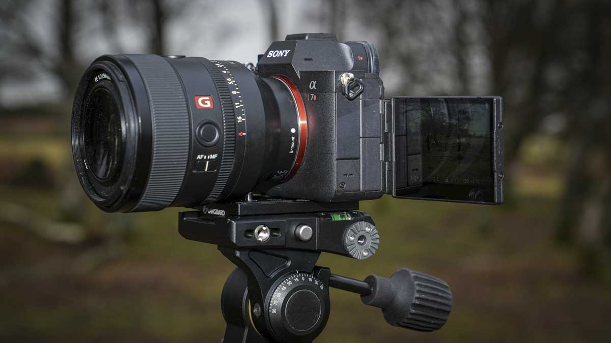 Sony A7R V review