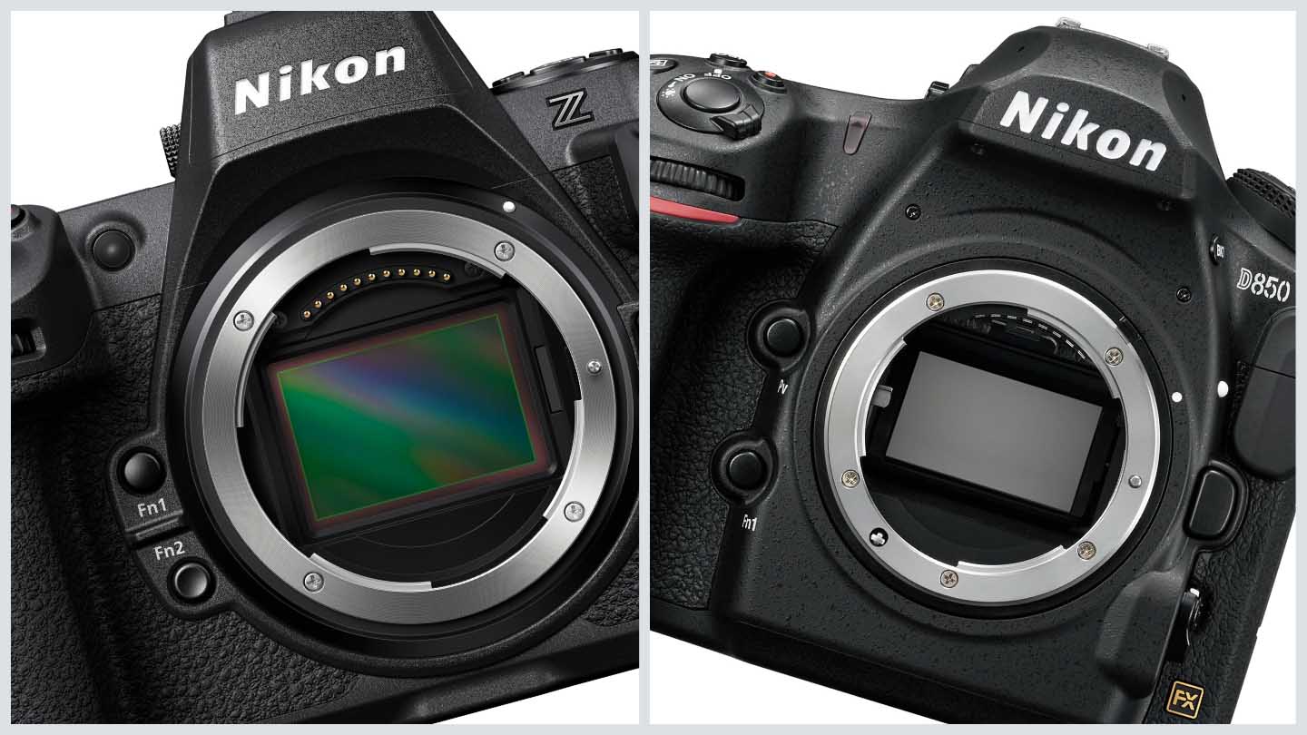 Nikon Z8 Vs D850 Camera Jabber 7809