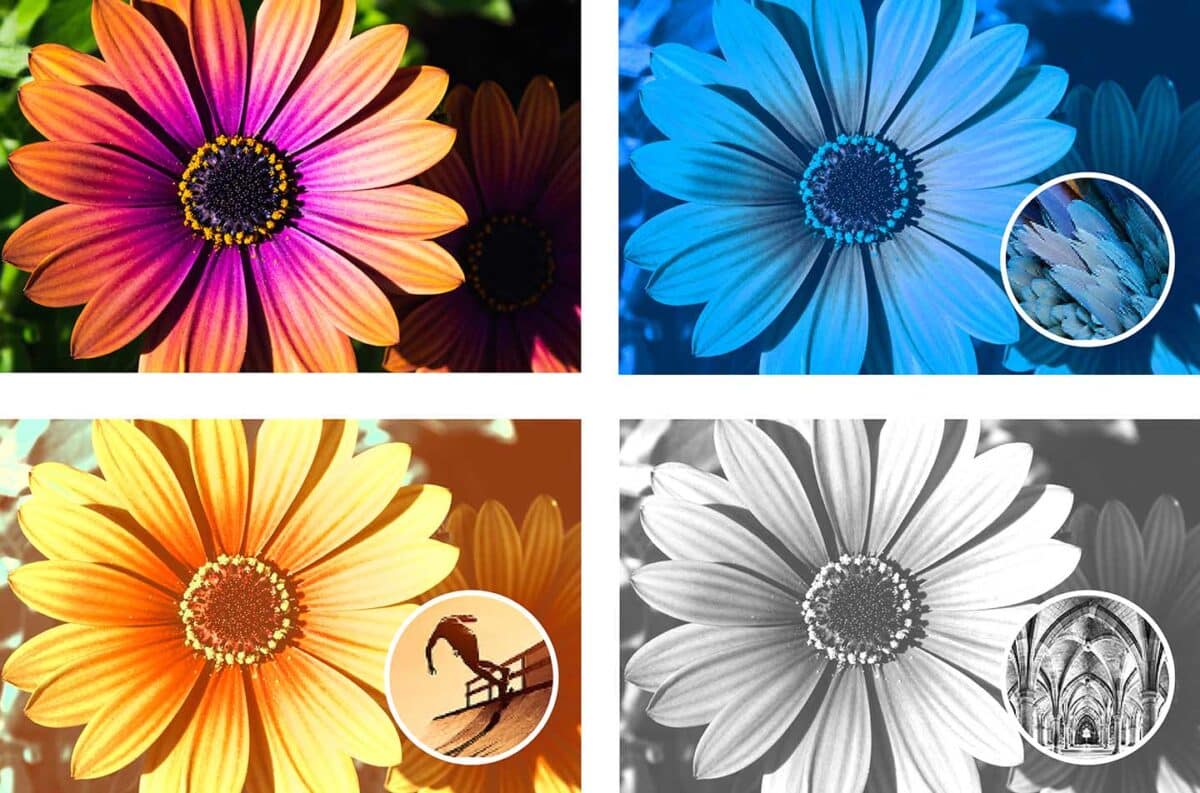 Adobe unveils Photoshop Elements 2024, Premiere Elements 2024