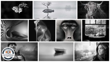 CJPOTY November 2023 'The World in Black and White' shortlisted images