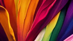 Colour in photography