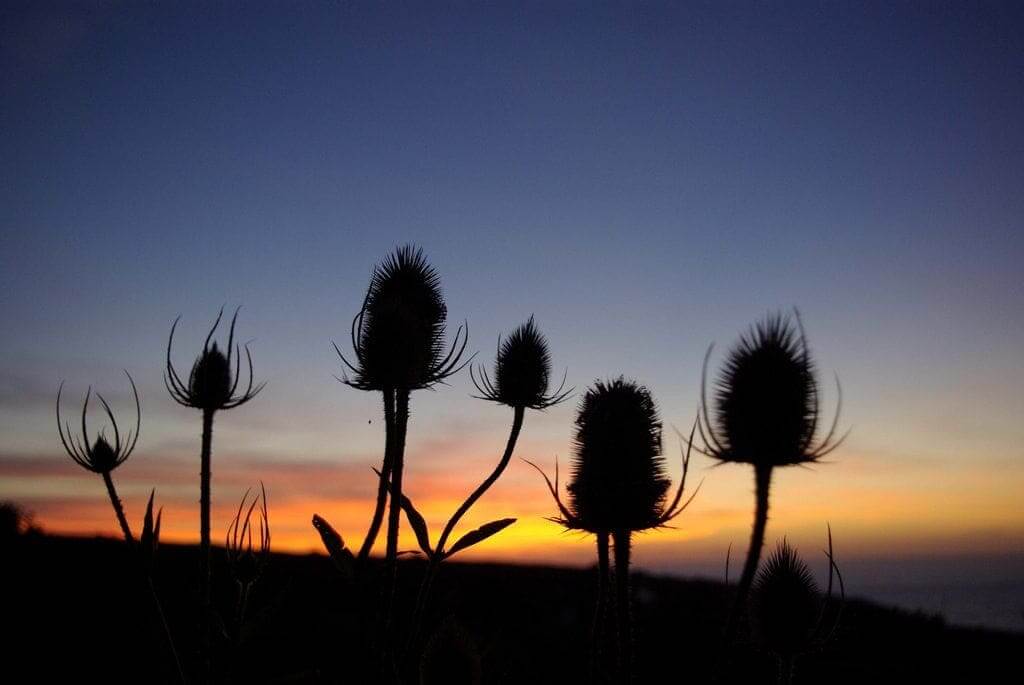 Best camera settings sunsets