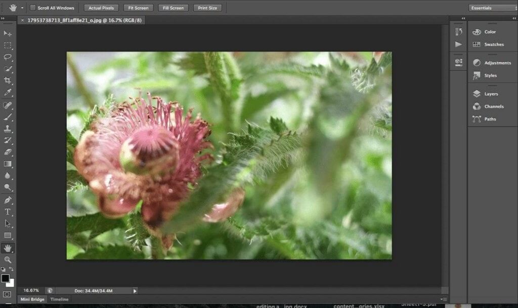 The differences between Lightroom and Photoshop