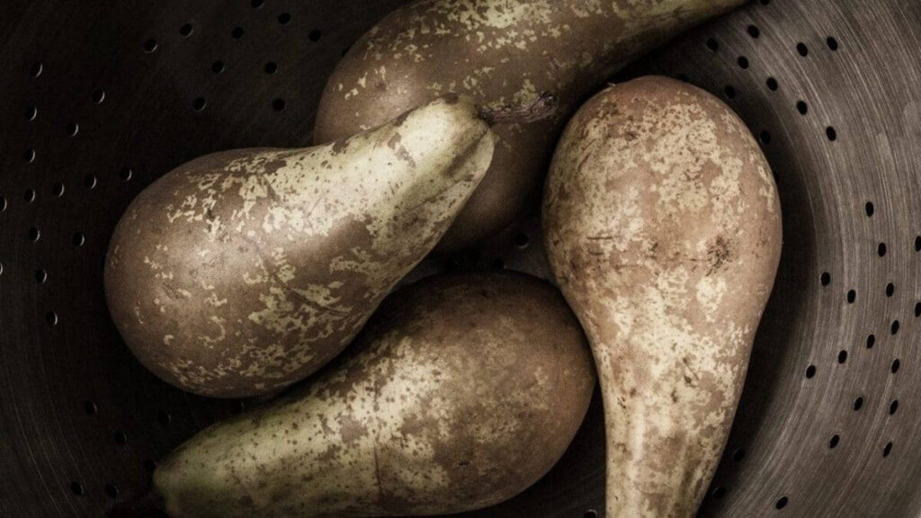 10 quick food photography tips