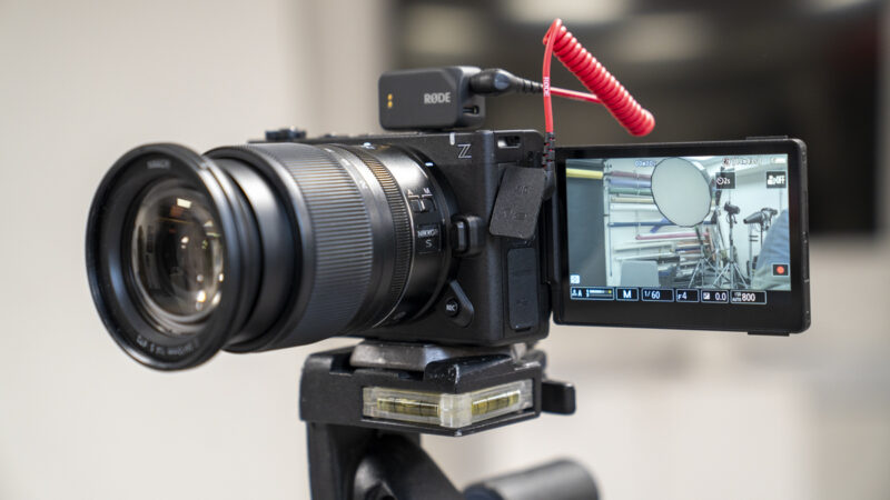 I used the Sony A7 IV to photograph wildlife, and its autofocus was the upgrade I wanted