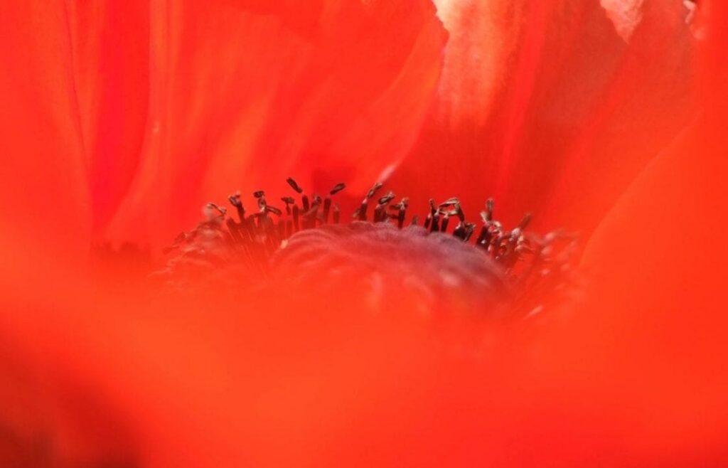 10 reasons your photos aren't sharp