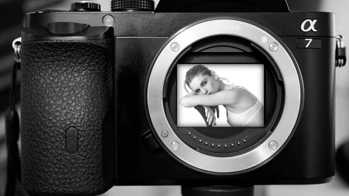 Mirrorless cameras: 06 They use a variety of sensor sizes