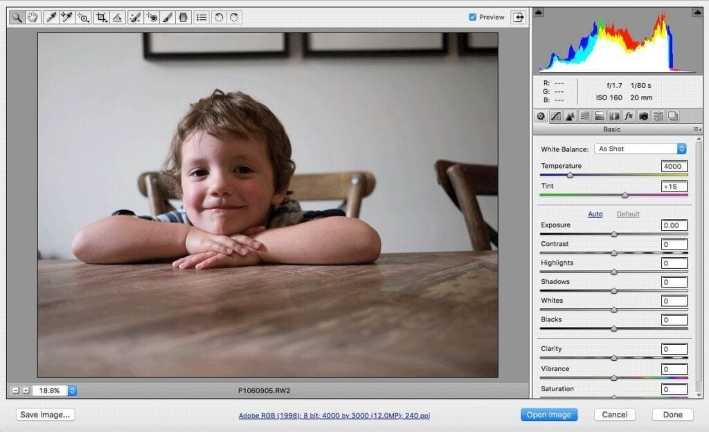 What is a raw file in photography?