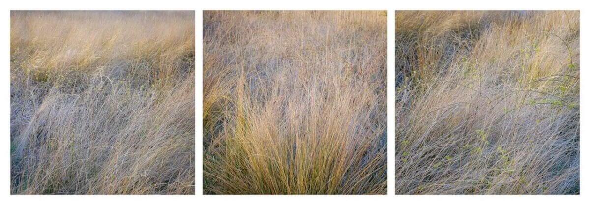 5 ways to pull yourself out of a landscape photography rut