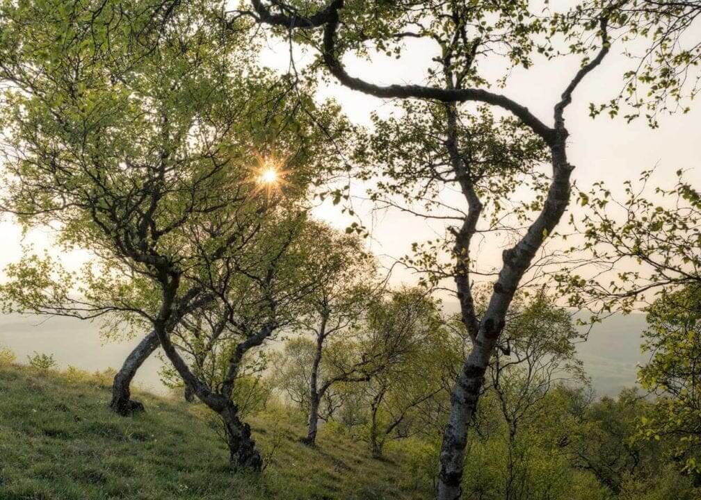 5 ways to pull yourself out of a landscape photography rut