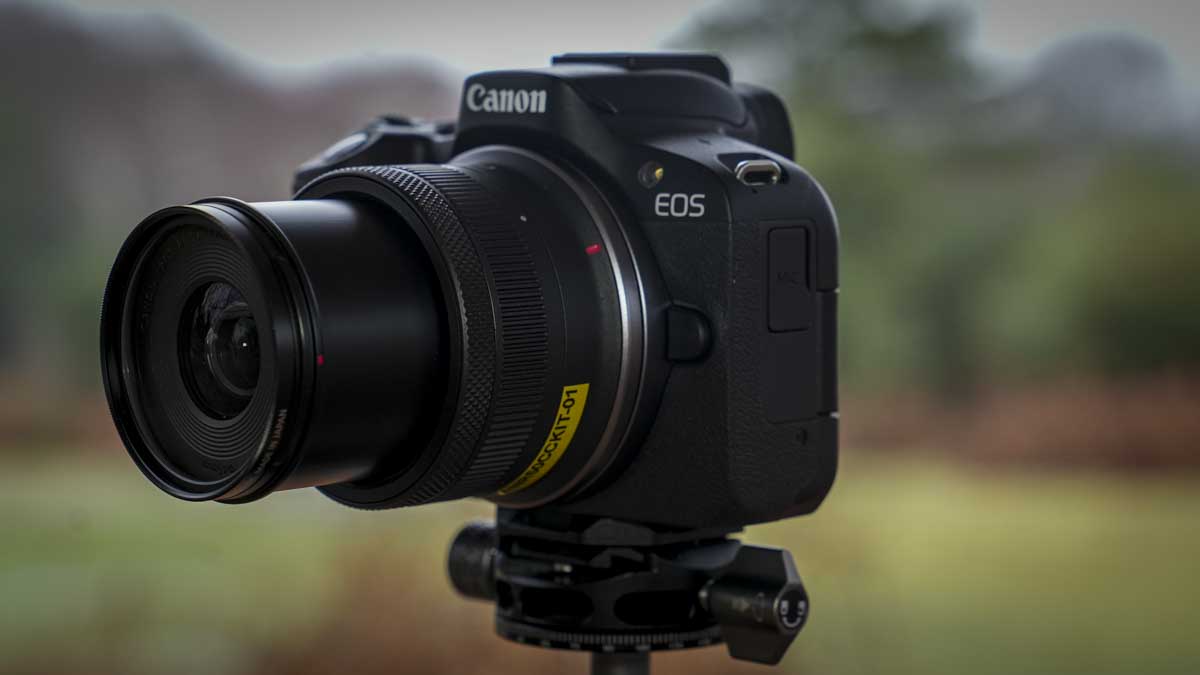 Canon EOS R50 Review - Side angle