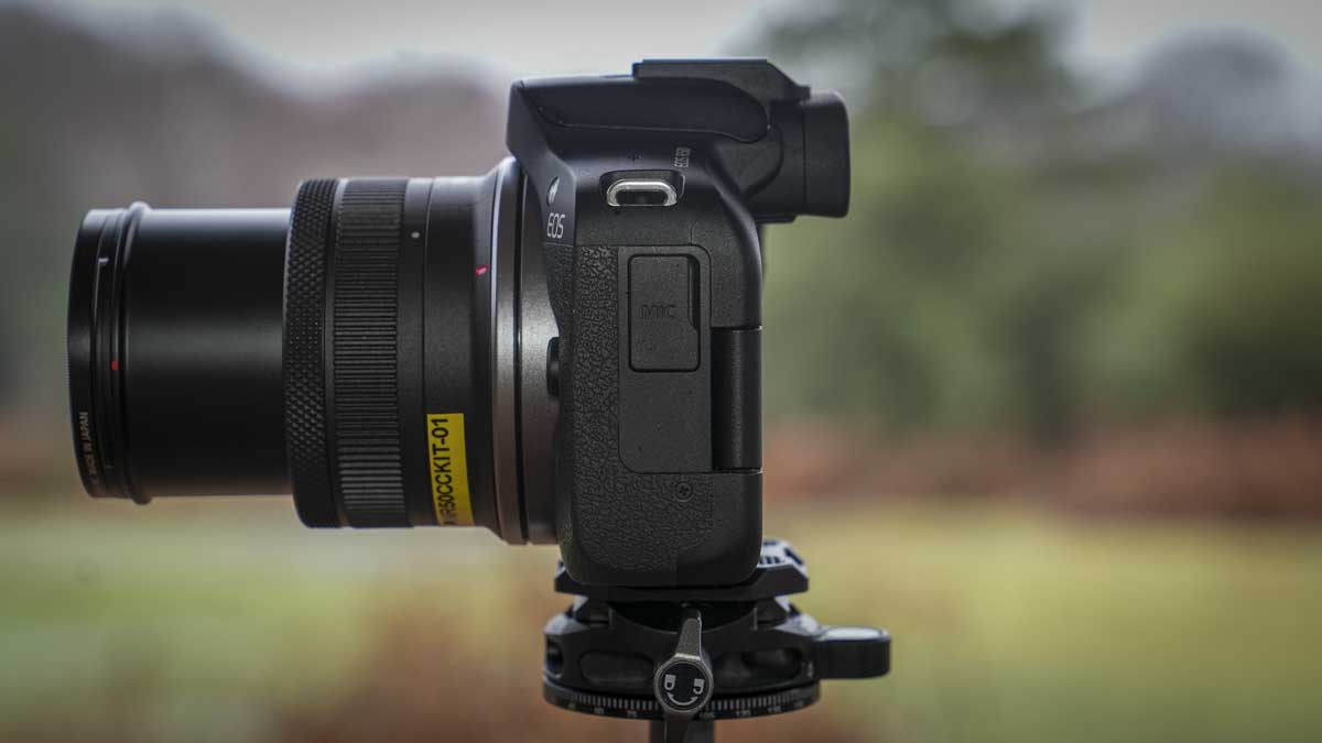 Canon EOS R50 Review - Side