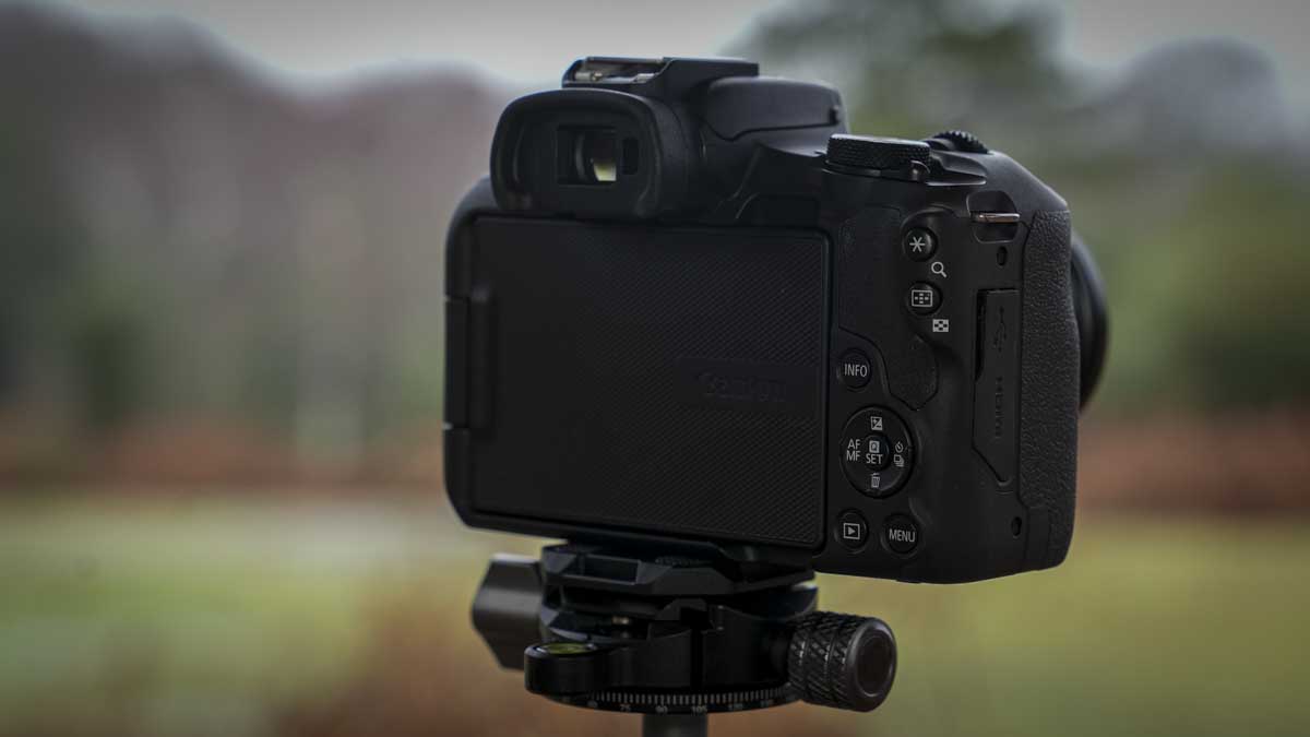 Canon EOS R50 Review - back angle