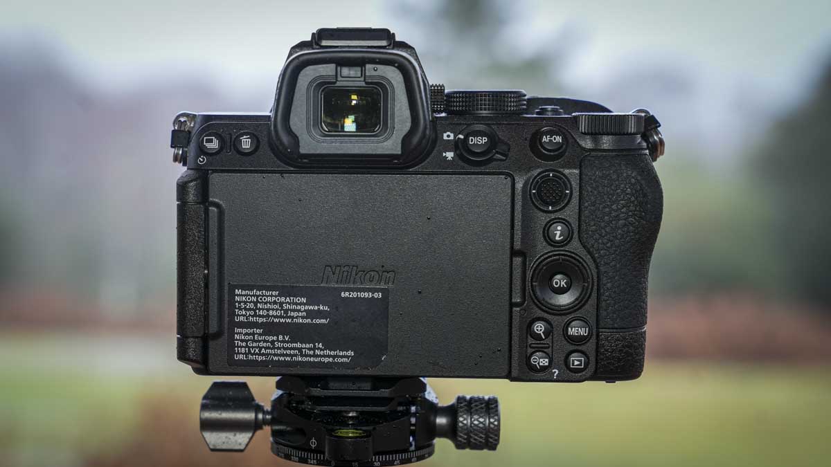 Nikon Z5 II back