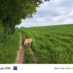 Vivo V70 Review sample image
