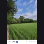 Vivo V70 Review sample image