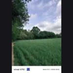 Vivo V70 Review sample image