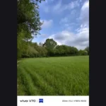 Vivo V70 Review sample image