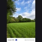 Vivo V70 Review sample image