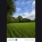 Vivo V70 Review sample image