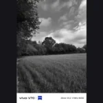 Vivo V70 Review sample image