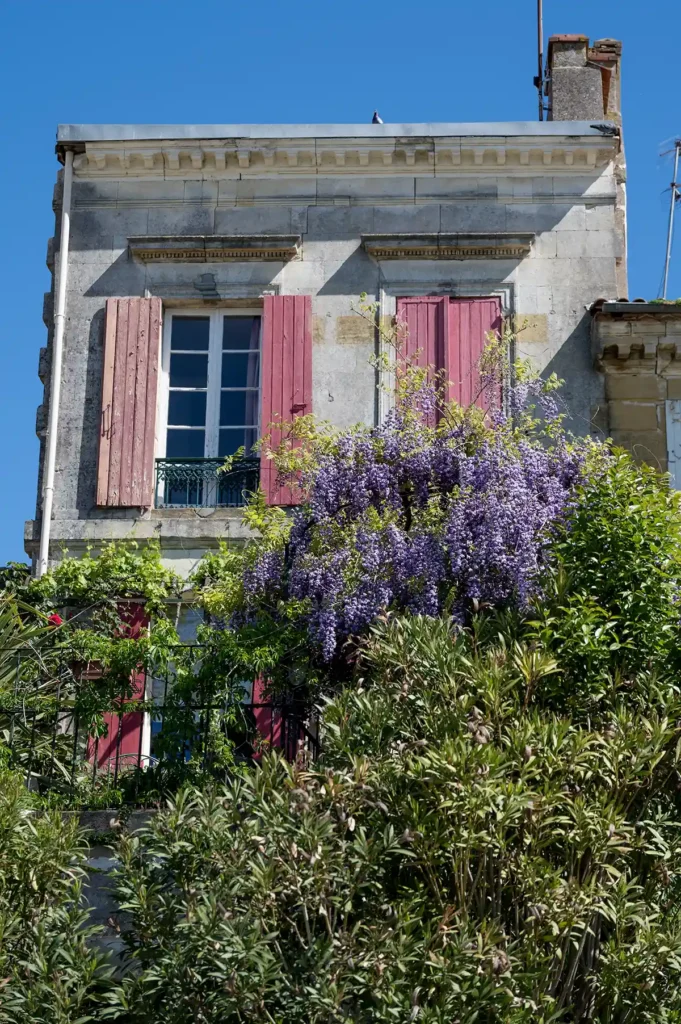 Half-timbered houses and close crops of shuttered windows