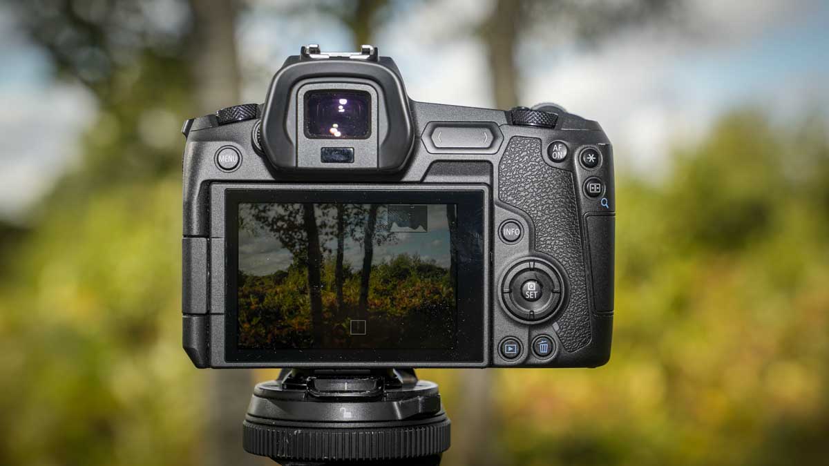 Canon EOS R review