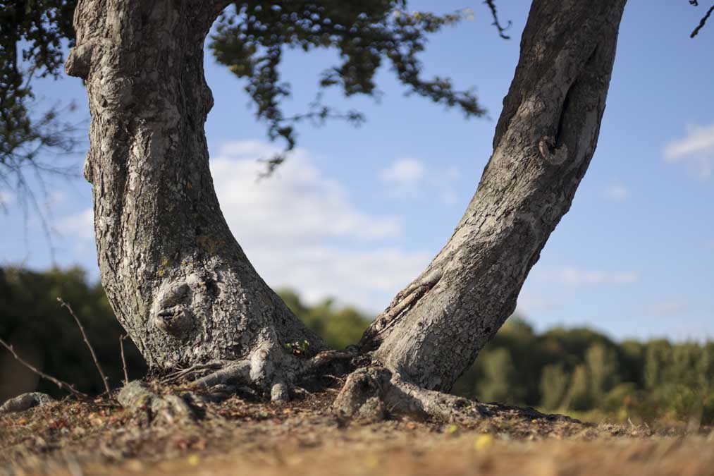 Canon EOS R Sample Image