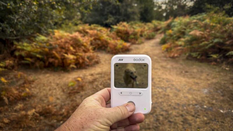 I tested the Godox C100 and it’s a better light meter than camera