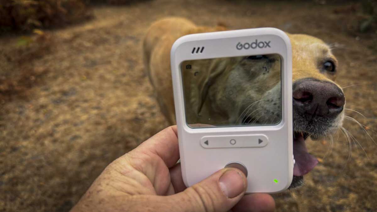 Godox C100 Review