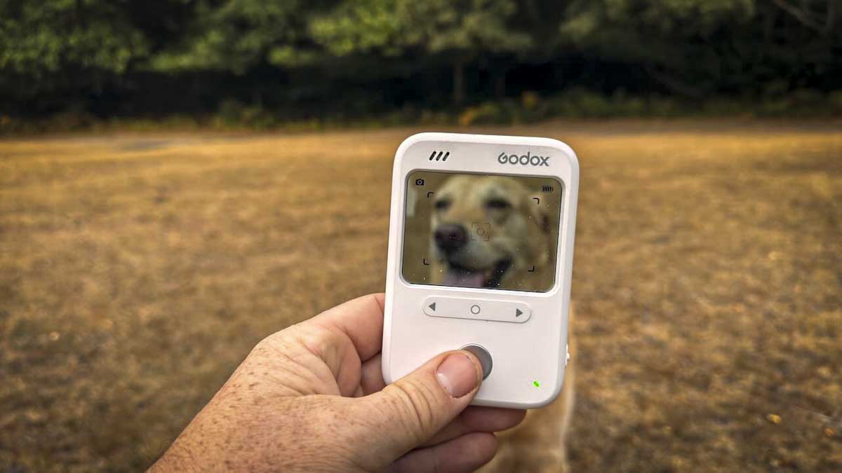 Godox C100 Review