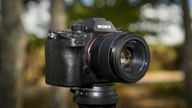 Sony A9 review: Is the original mirrorless game-changer worth buying in 2026?