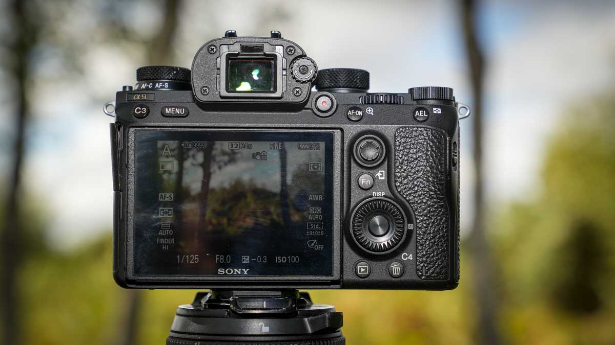Sony A9 review