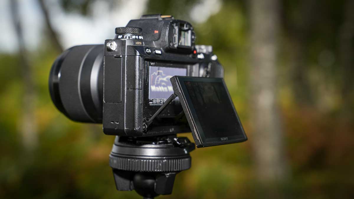 Sony A9 review