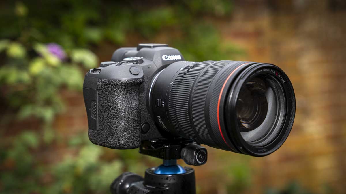 Canon EOS R6 Mark II review
