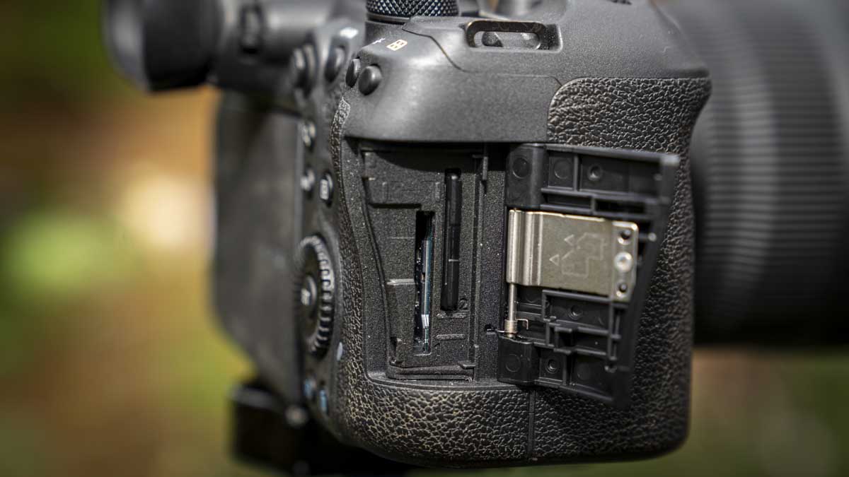 Canon EOS R6 Mark II review