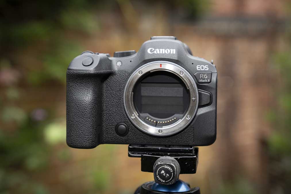 Canon EOS R6 Mark II review